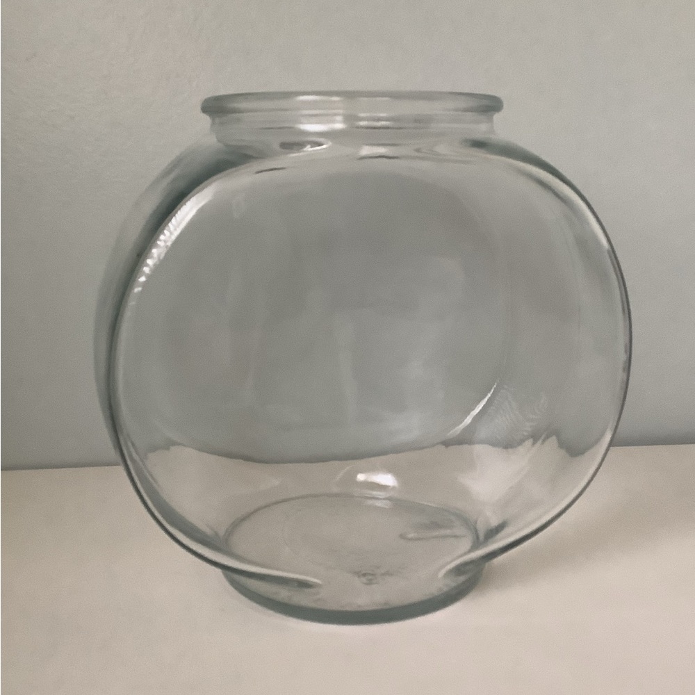 Glass flattened fishbowl or terrarium vase